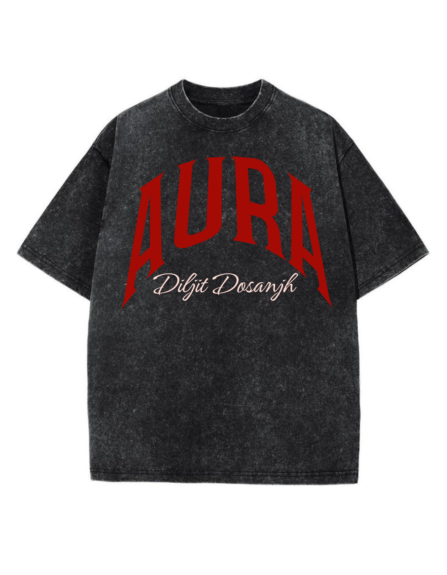 DILJIT CONCERT TEE