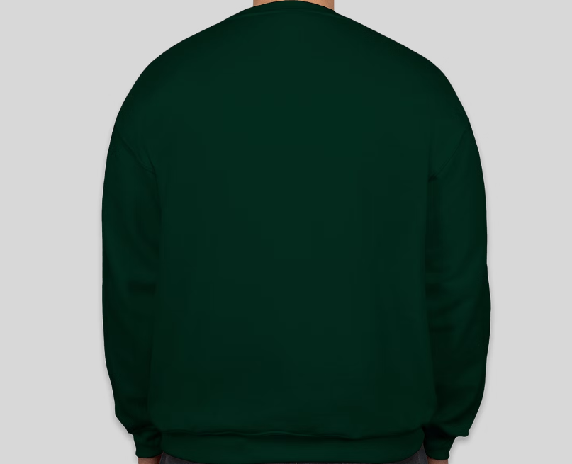 PANJAB UNISEX GRAPHIC T-SHIRT/SWEATSHIRT