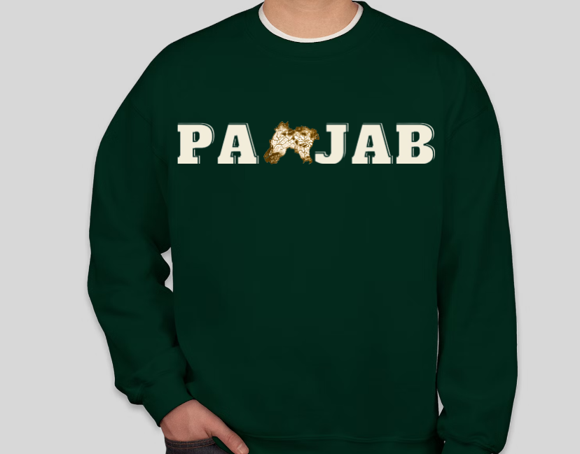 PANJAB UNISEX GRAPHIC T-SHIRT/SWEATSHIRT